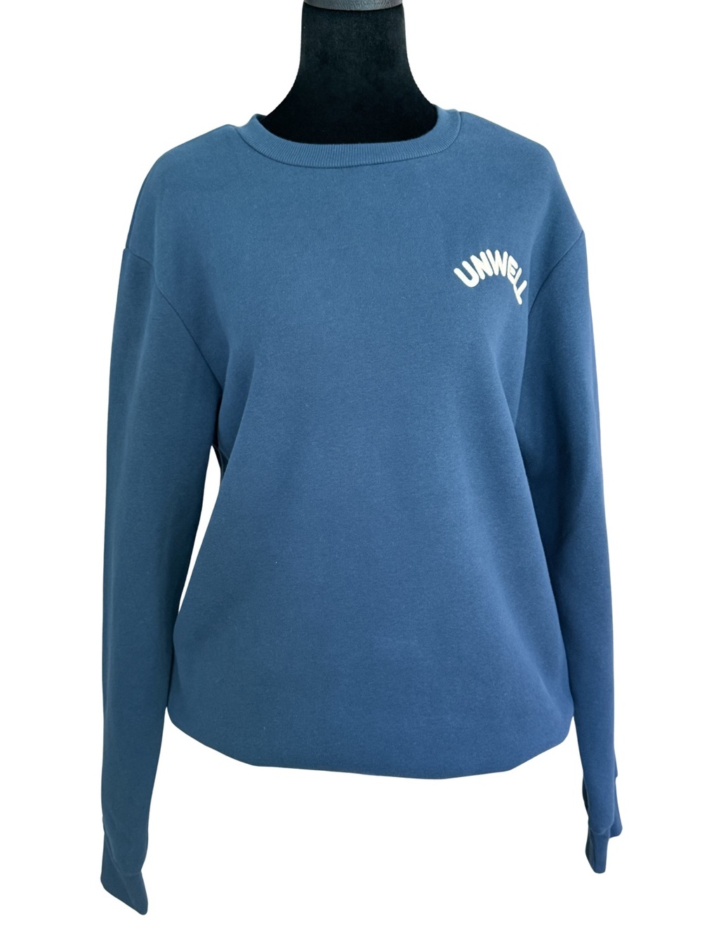 Women's Unwell Crewneck Sweatshirt in Dusty Blue. Size M.